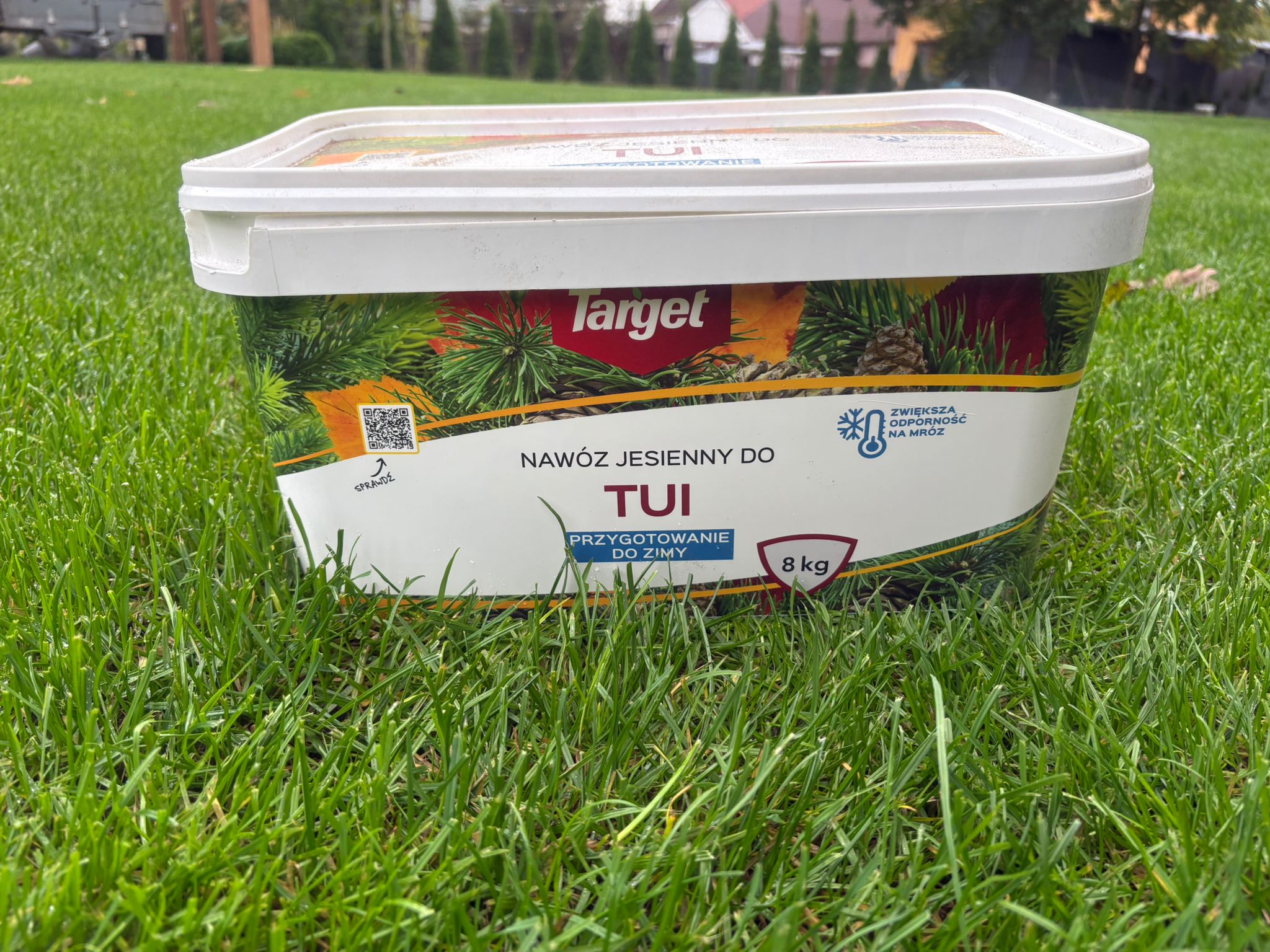 Thuja szmaragd  – nawożenie jesienne